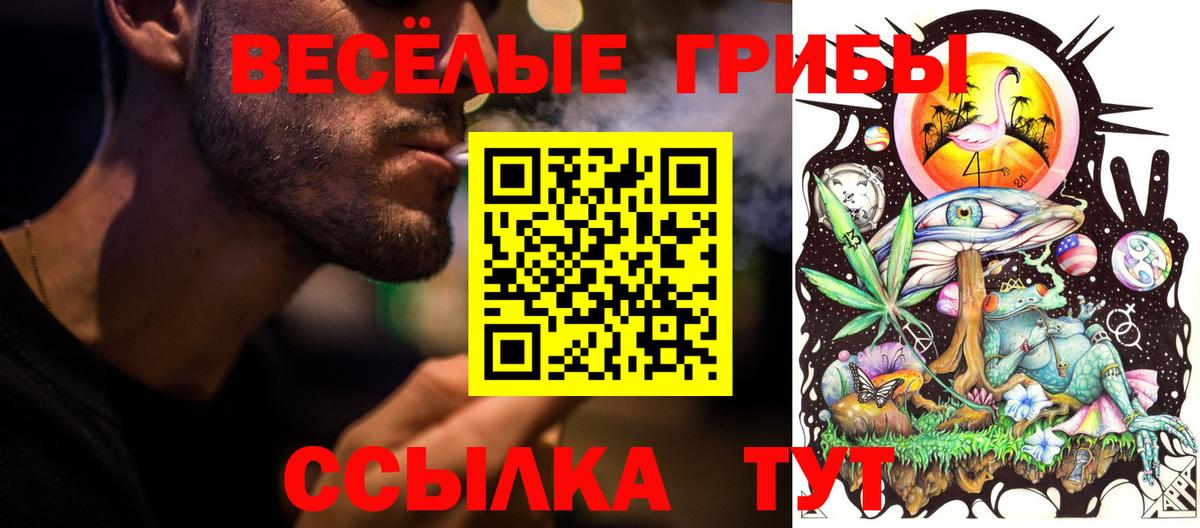 Галлюциногенные грибы мухоморы Воркута