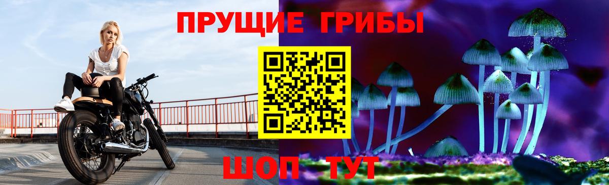 Псилоцибиновые грибы GOLDEN TEACHER  Вход с VPN  Воркута 